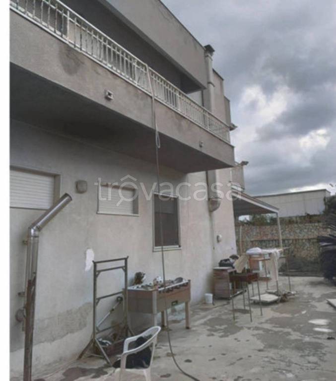 immagine annuncio 11 di 14