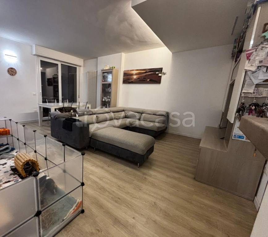 immagine annuncio 1 di 13