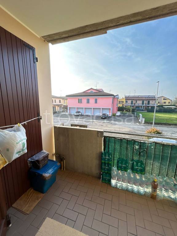 immagine annuncio 5 di 14