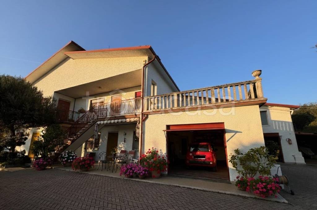 immagine annuncio 12 di 14