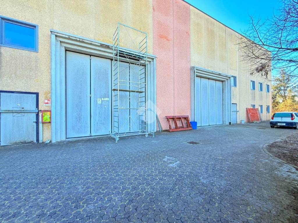 immagine annuncio 1 di 15