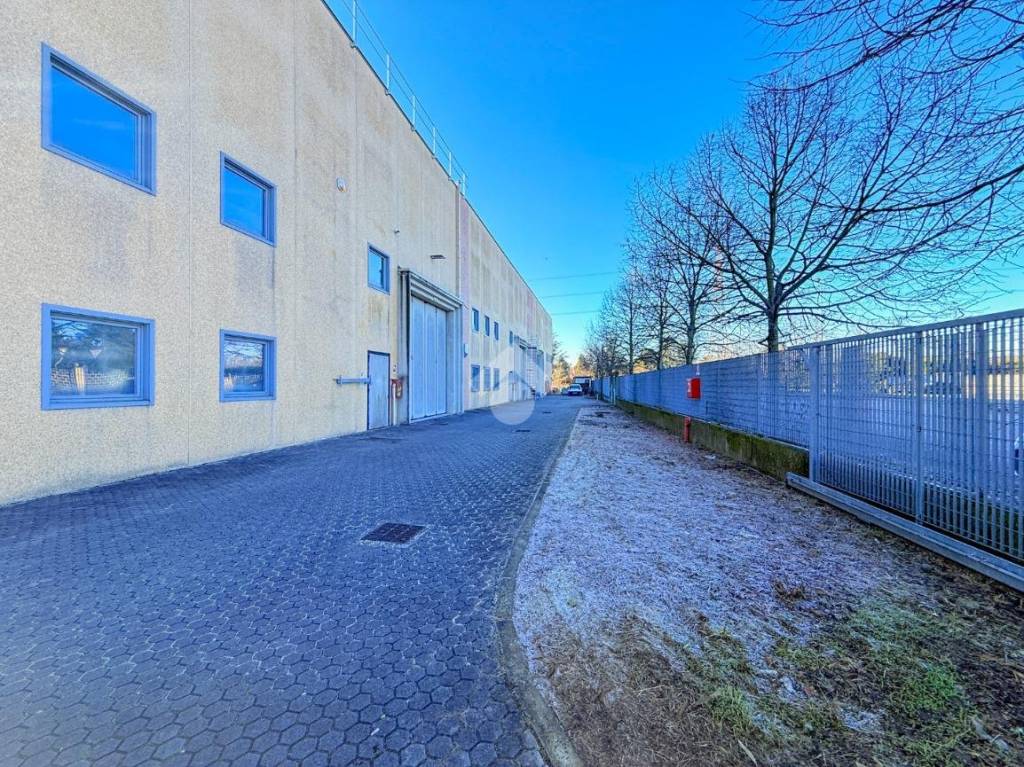 immagine annuncio 2 di 15