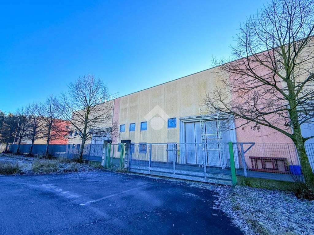 immagine annuncio 3 di 15