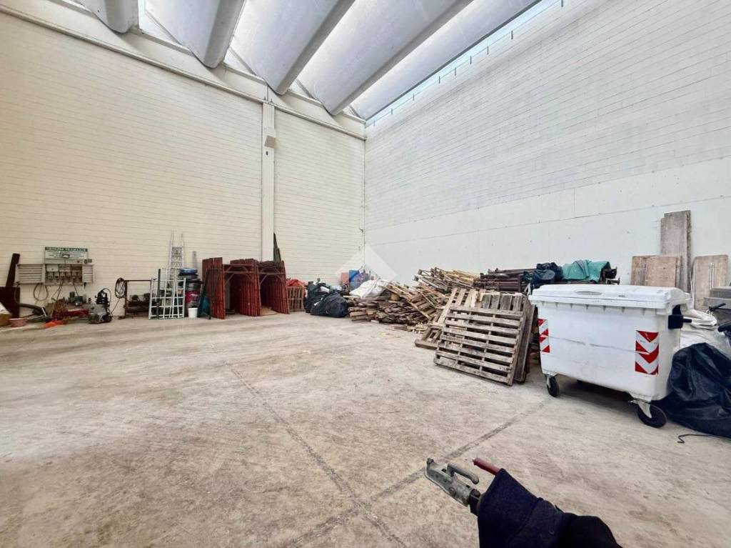 immagine annuncio 12 di 15