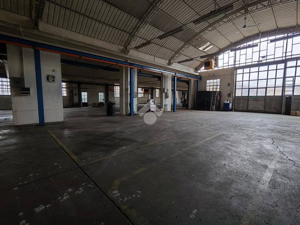 immagine annuncio 5 di 9