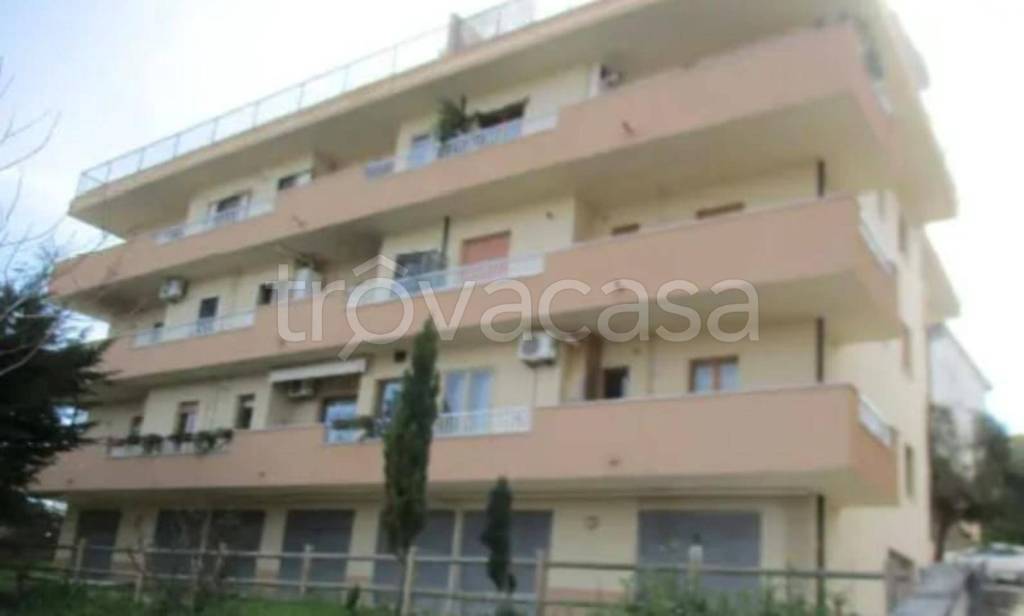 immagine annuncio 2 di 12