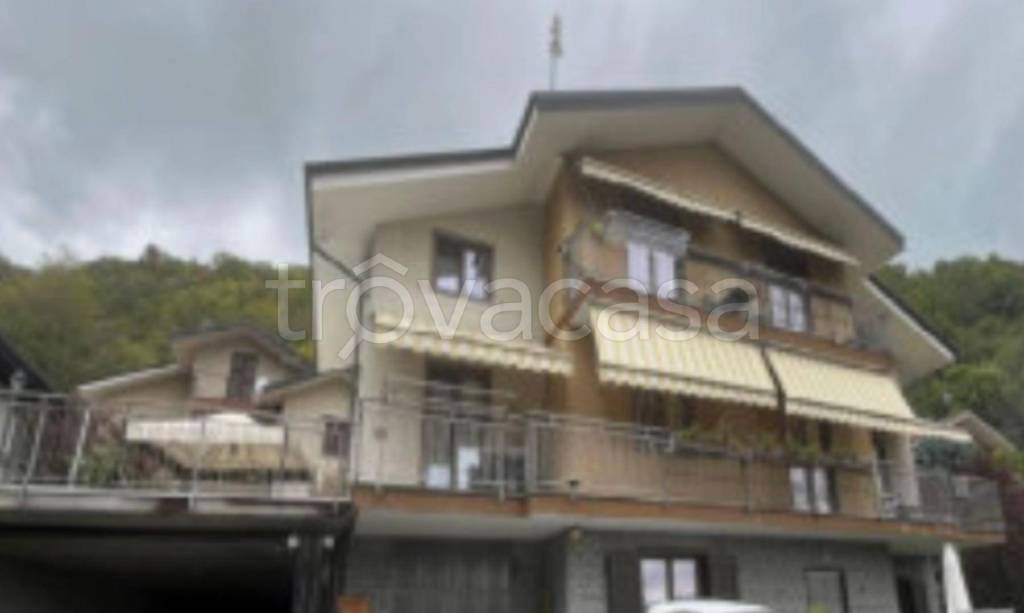 immagine annuncio 3 di 12