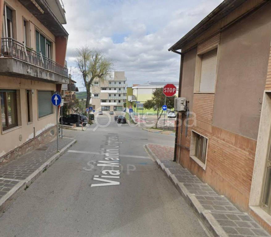 immagine annuncio 9 di 12