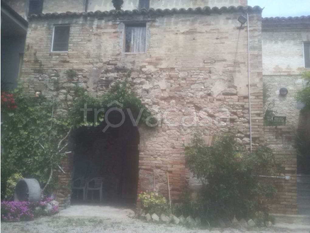 immagine annuncio 2 di 12