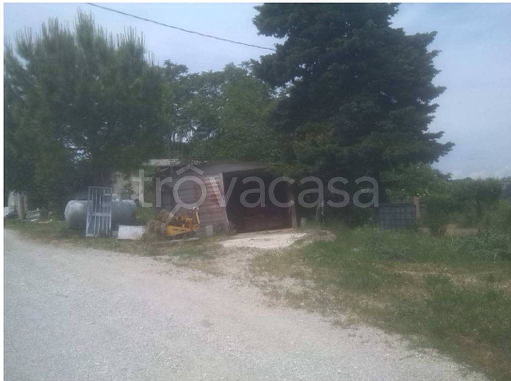 immagine annuncio 4 di 12