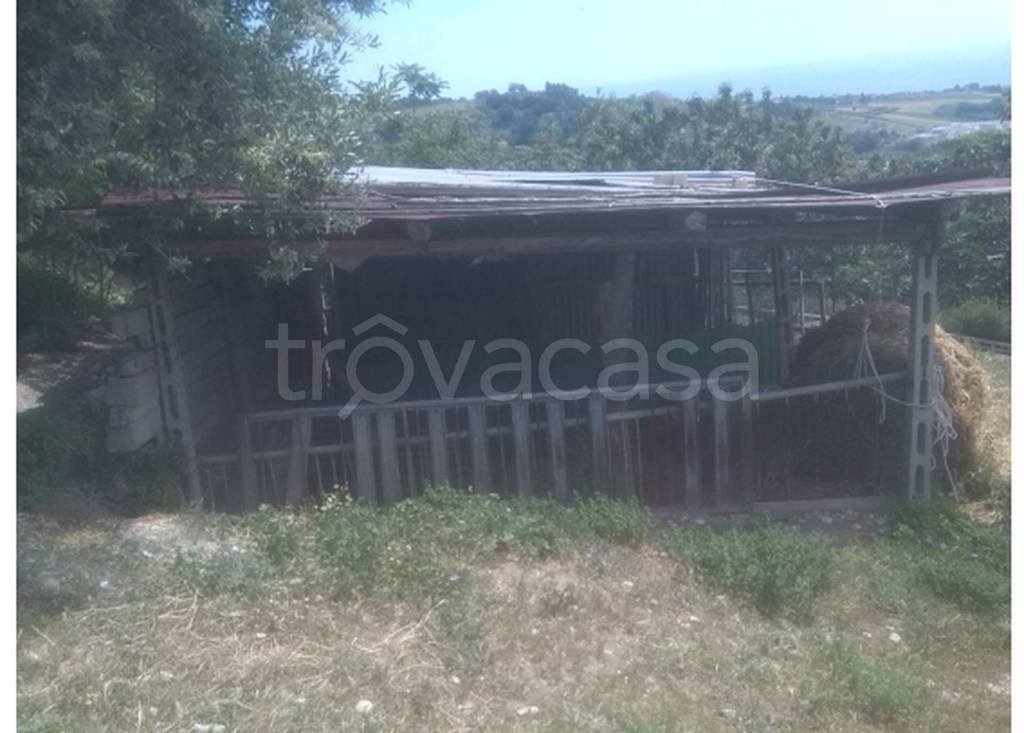 immagine annuncio 6 di 12