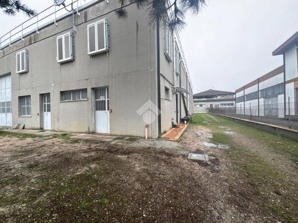 immagine annuncio 9 di 15