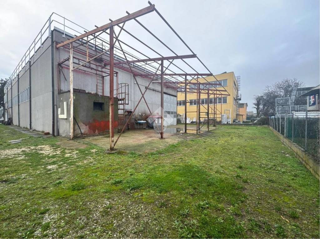 immagine annuncio 11 di 15