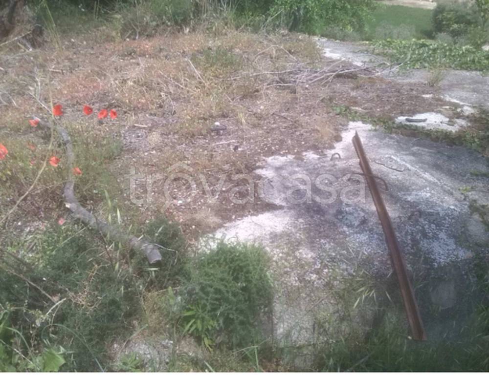 immagine annuncio 10 di 12