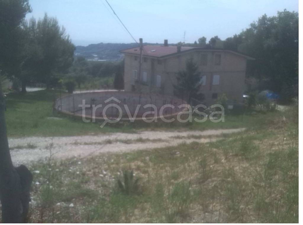 immagine annuncio 11 di 12