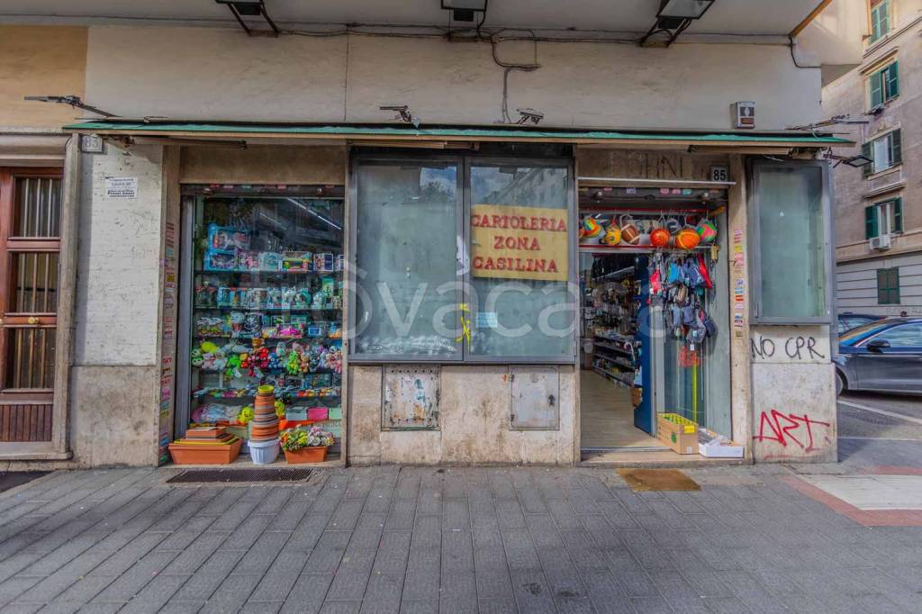 immagine annuncio 13 di 14