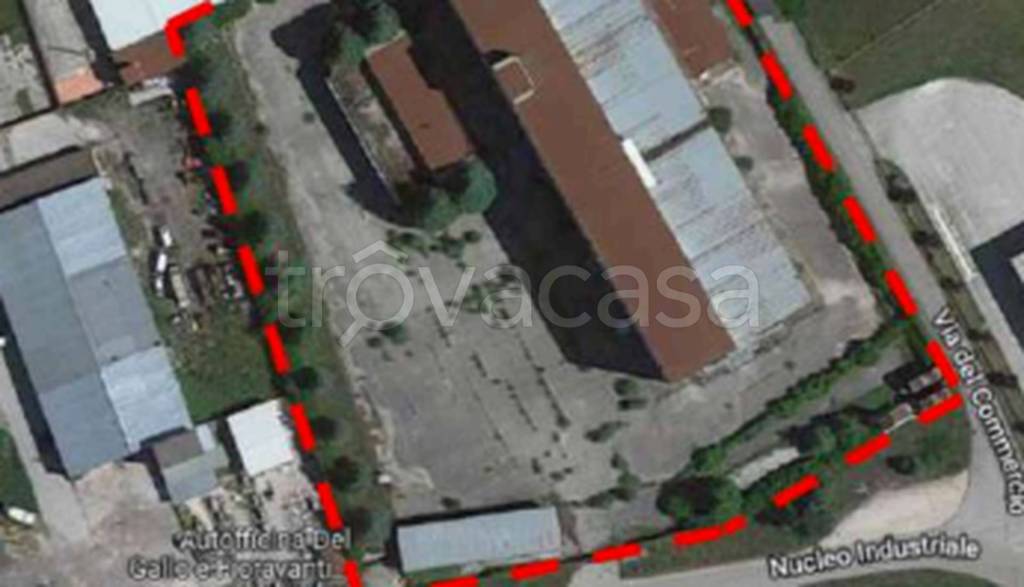 immagine annuncio 9 di 10