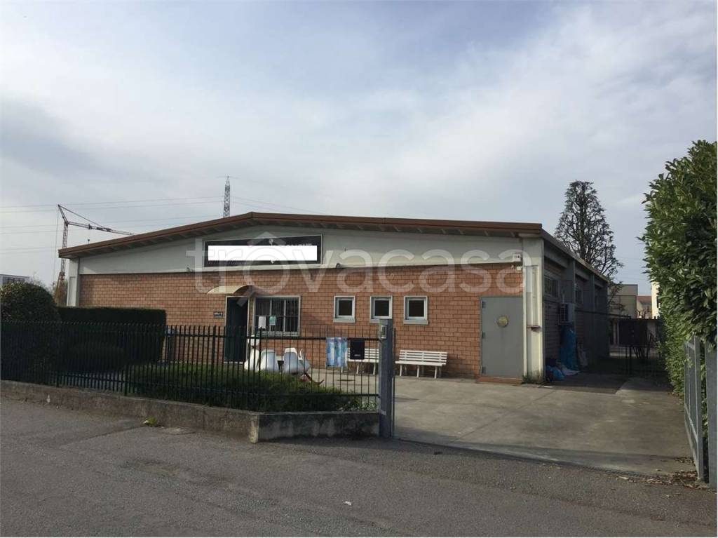 immagine annuncio 5 di 15