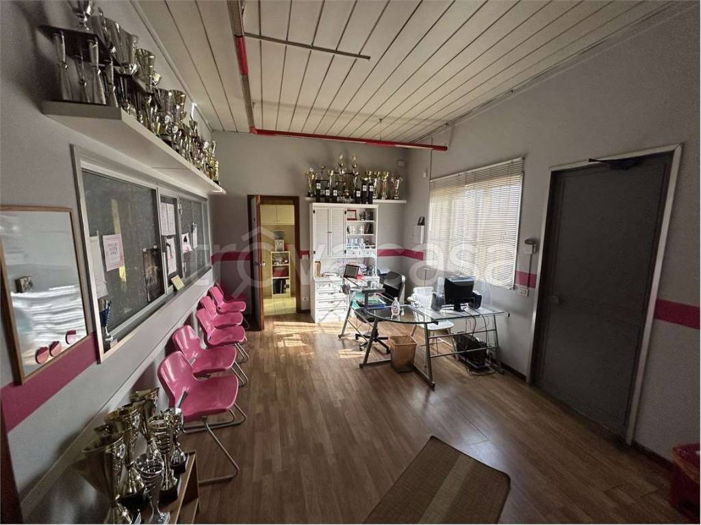 immagine annuncio 12 di 15