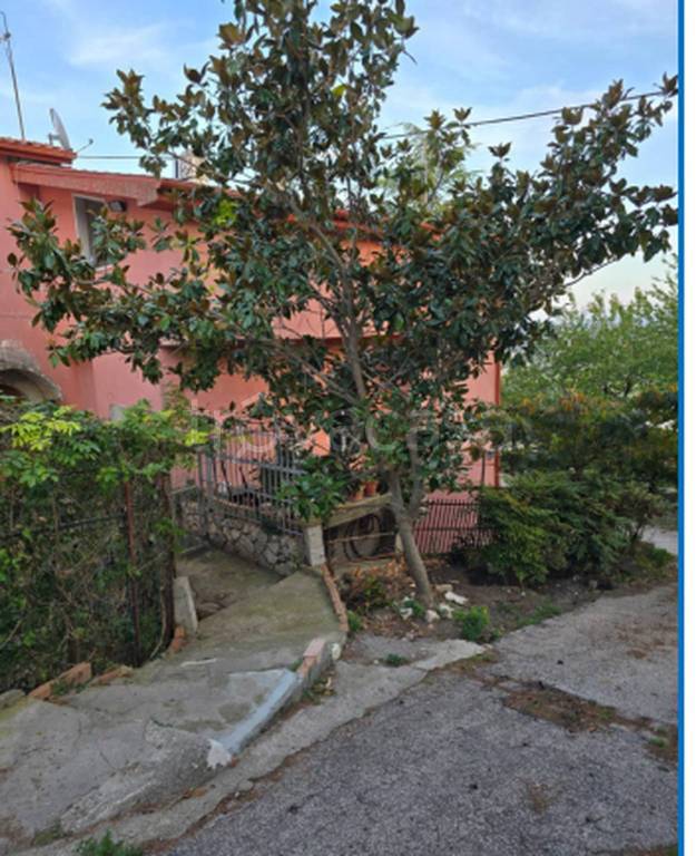 immagine annuncio 7 di 11