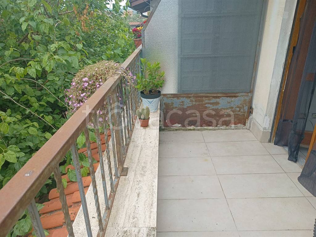immagine annuncio 7 di 11