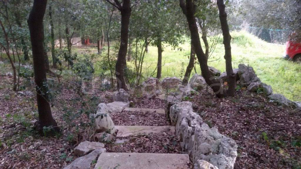 immagine annuncio 11 di 14