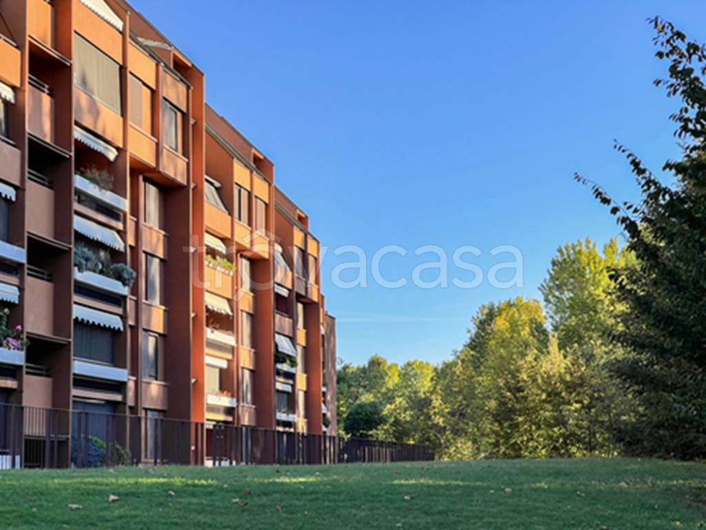 immagine annuncio 11 di 15