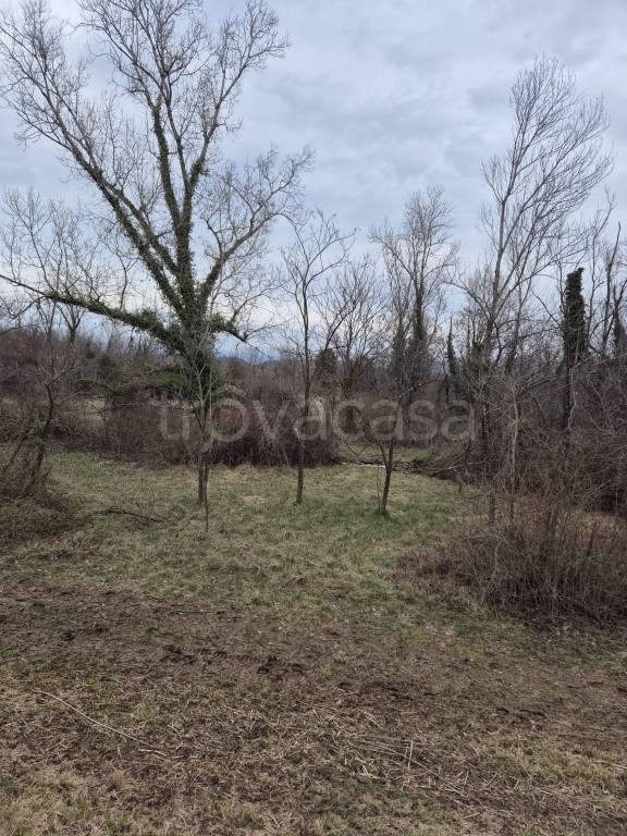 immagine annuncio 4 di 12