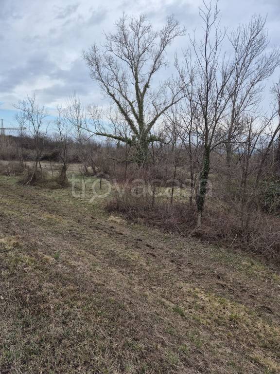 immagine annuncio 7 di 12