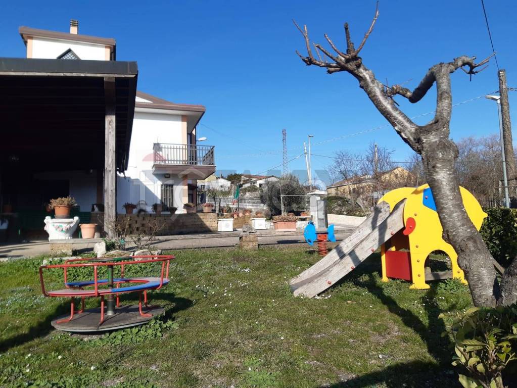 immagine annuncio 14 di 15