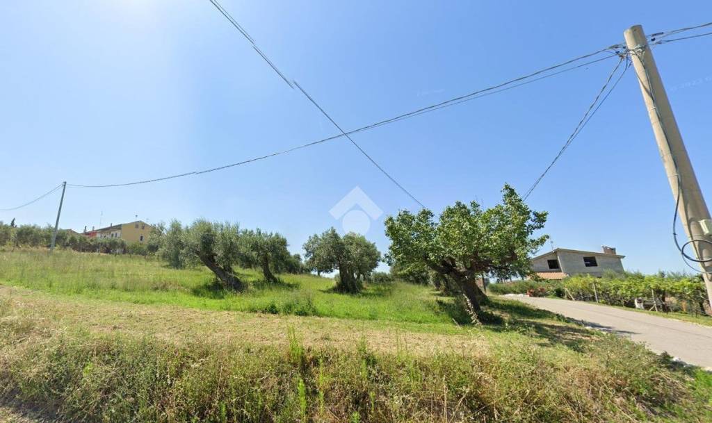 immagine annuncio 9 di 11