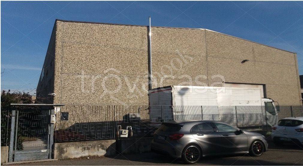 immagine annuncio 4 di 15