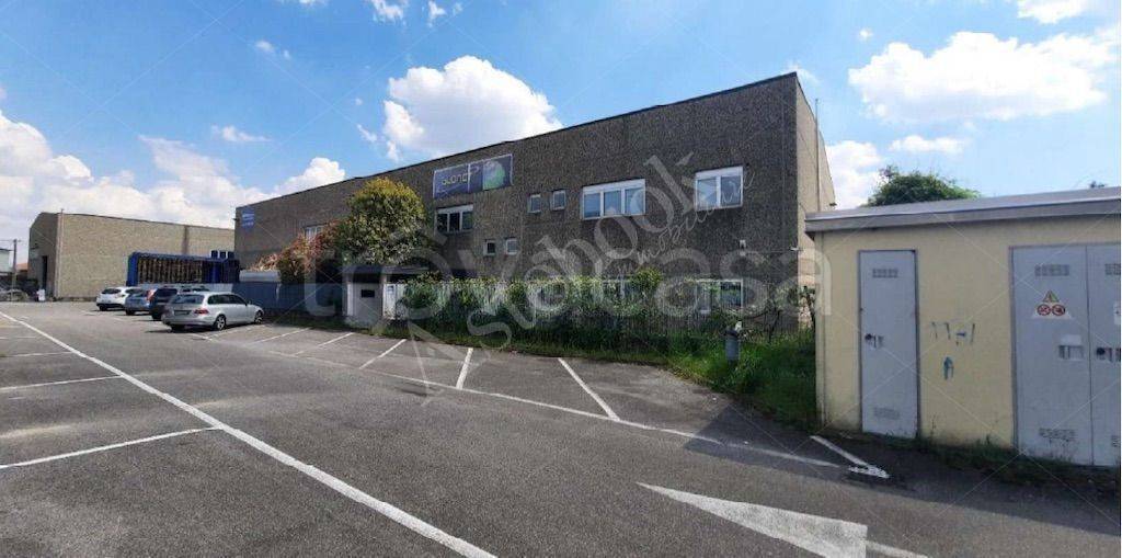 immagine annuncio 9 di 15