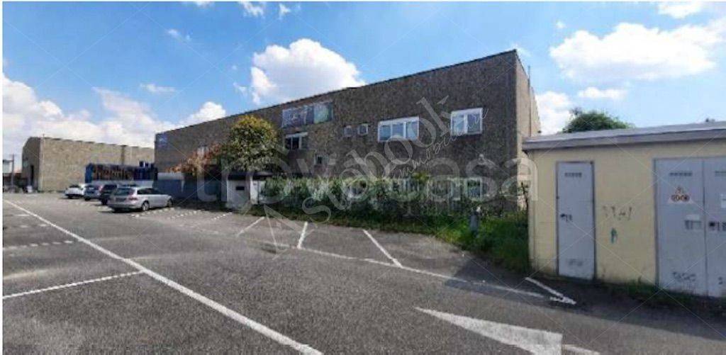 immagine annuncio 10 di 15