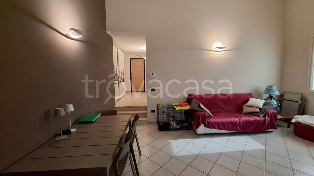 immagine annuncio 5 di 13