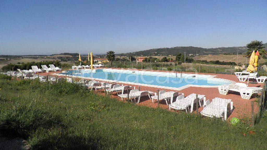 immagine annuncio 13 di 14