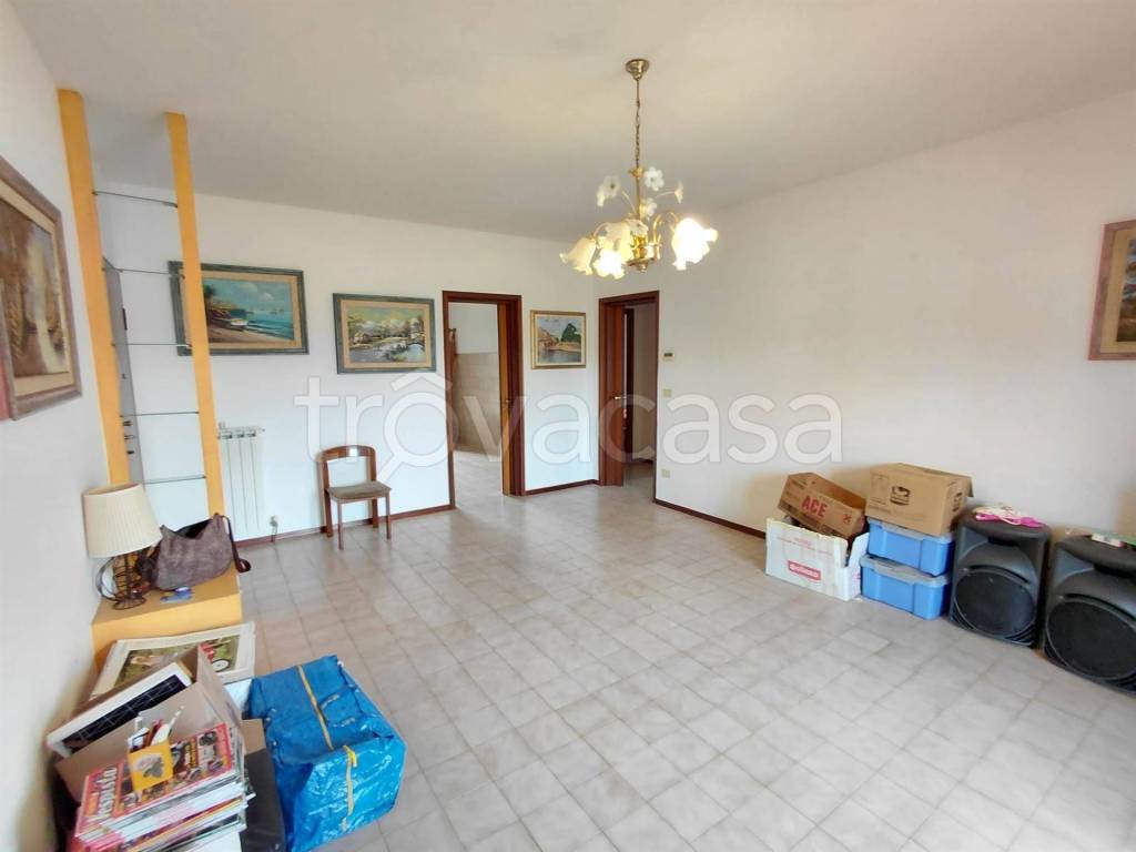 immagine annuncio 2 di 14