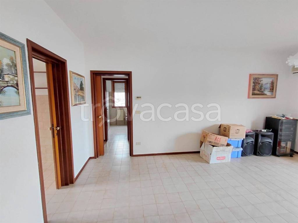 immagine annuncio 9 di 14