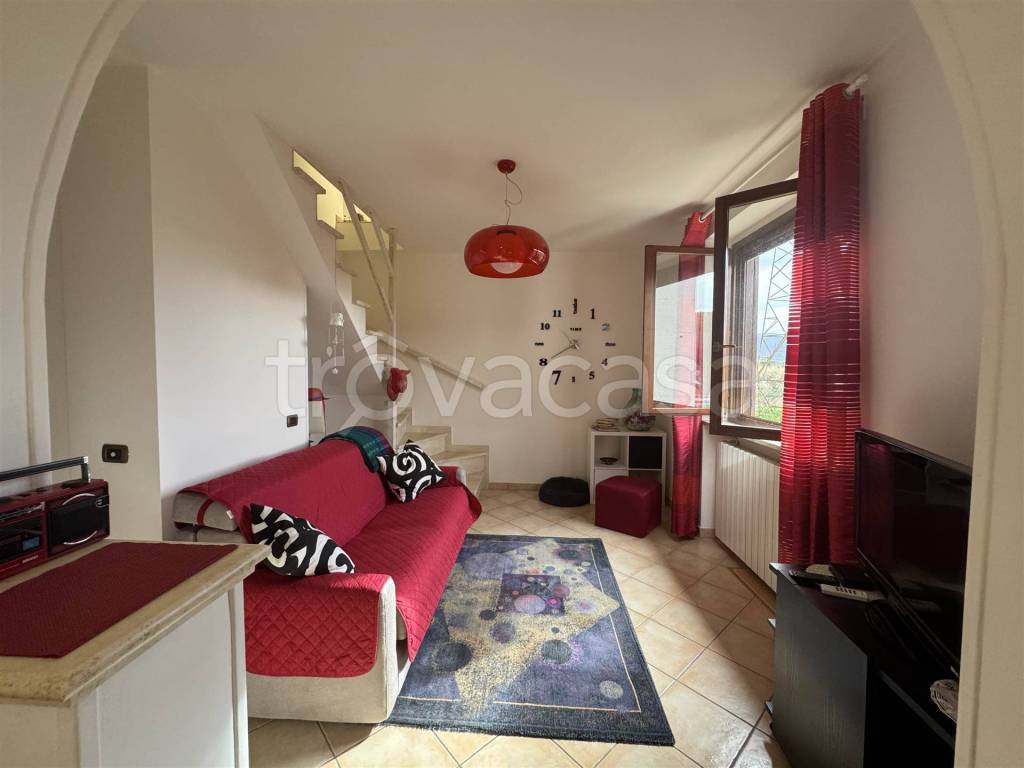 immagine annuncio 12 di 15