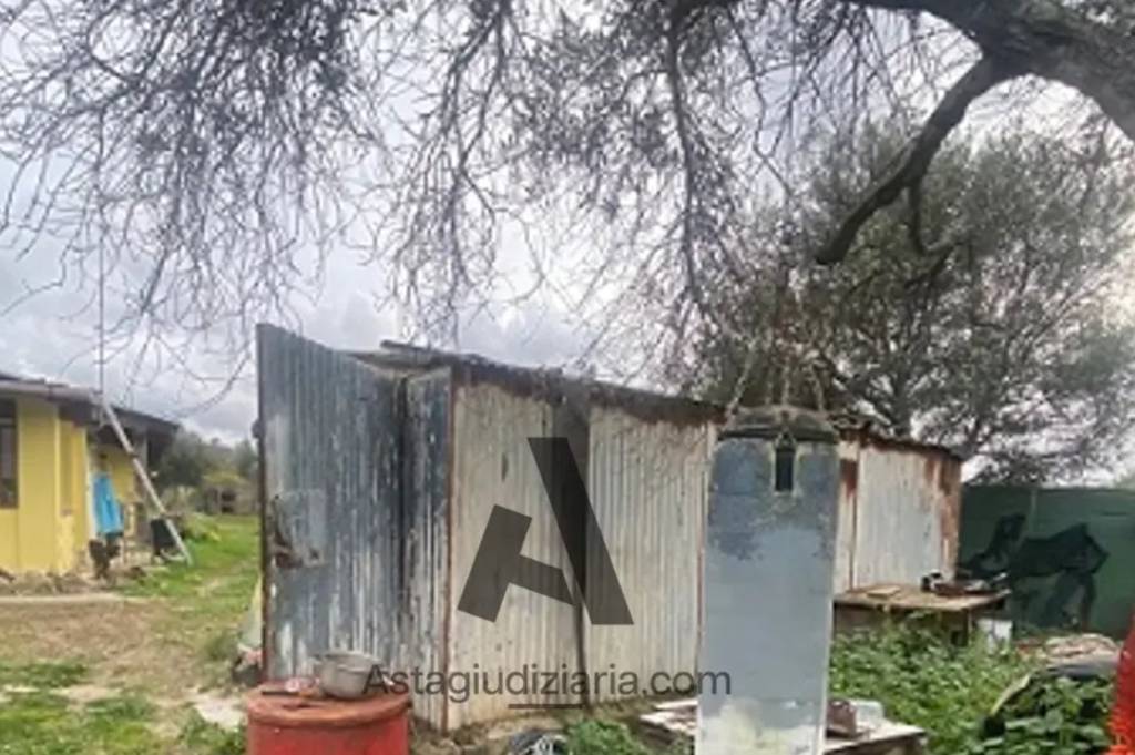 immagine annuncio 6 di 15