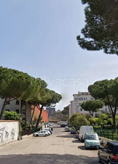 immagine annuncio 7 di 14