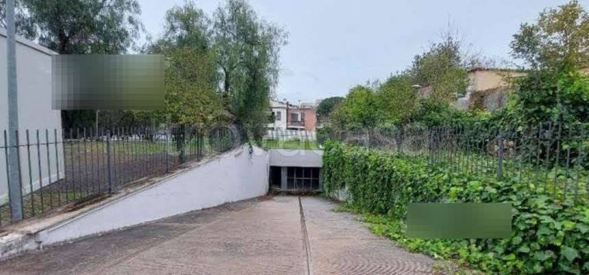 immagine annuncio 5 di 14