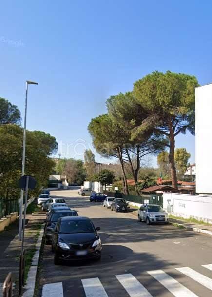 immagine annuncio 9 di 14