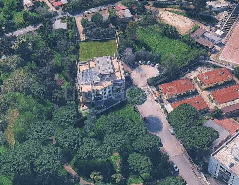 immagine annuncio 10 di 14