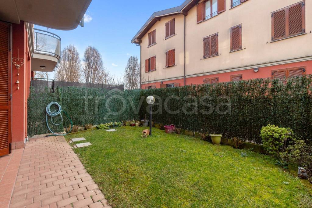 immagine annuncio 6 di 15