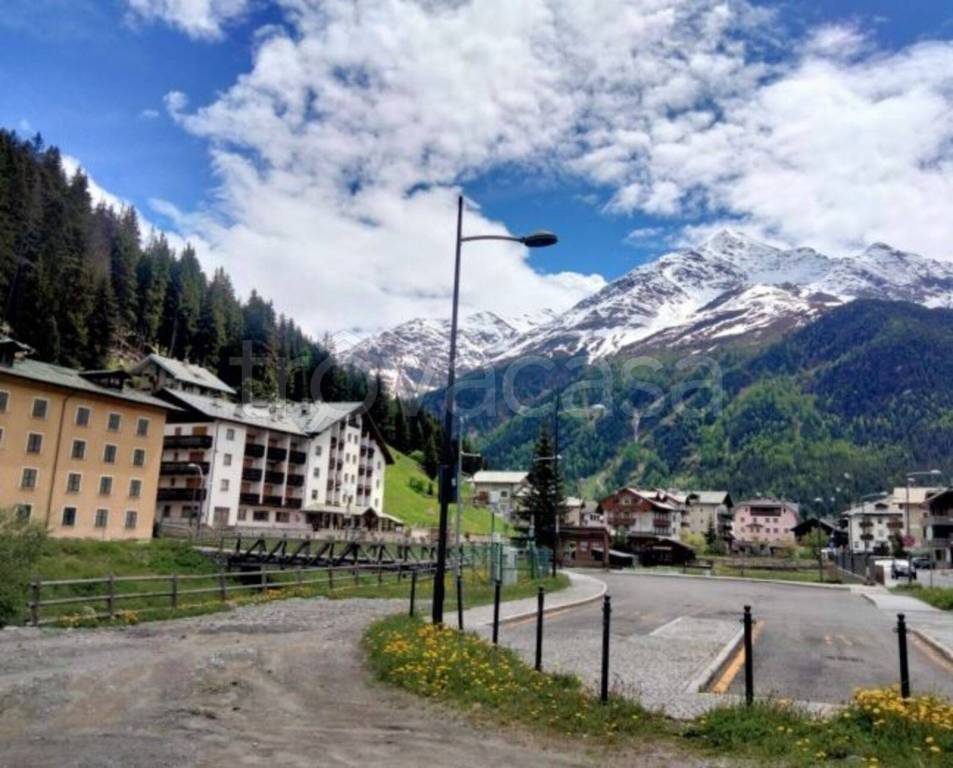 immagine annuncio 2 di 12