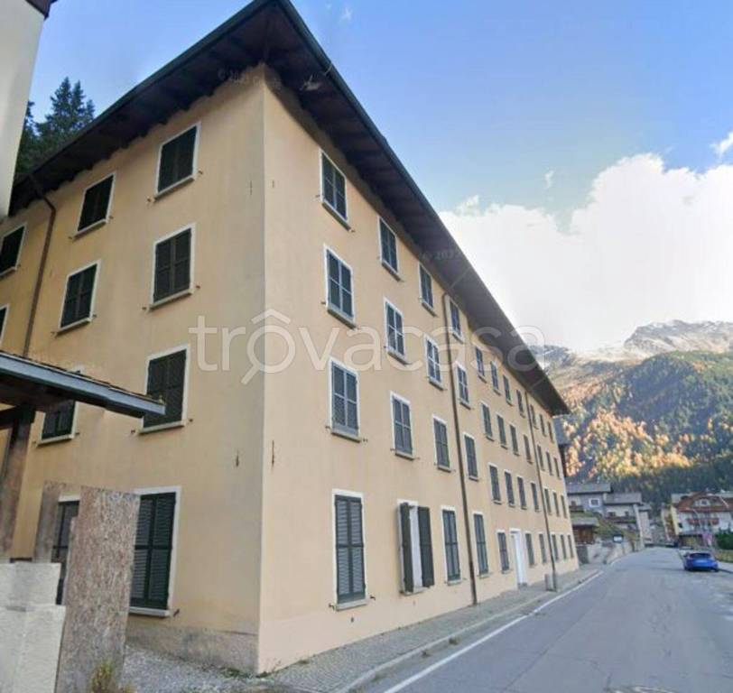 immagine annuncio 7 di 12