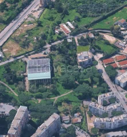 immagine annuncio 11 di 14