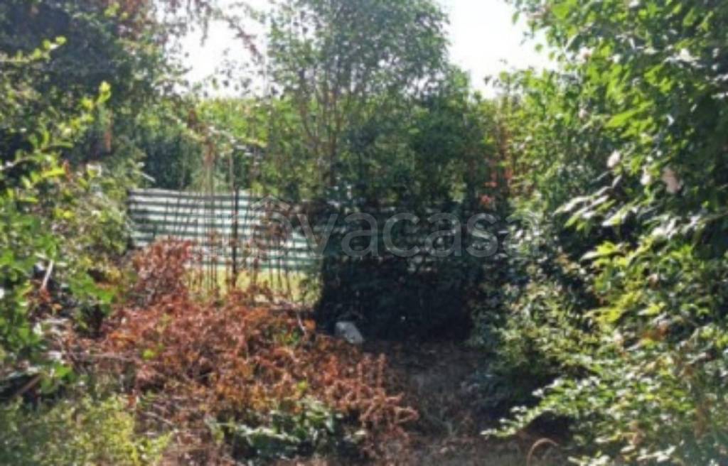 immagine annuncio 8 di 11