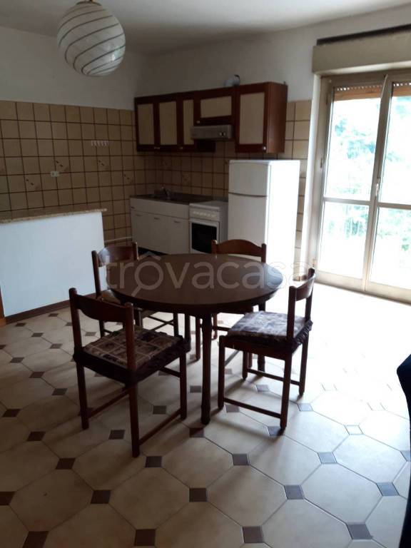 immagine annuncio 5 di 14